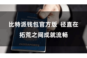比特派钱包官方版 径直在拓荒之间成就流畅