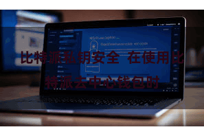 比特派私钥安全 在使用比特派去中心钱包时
