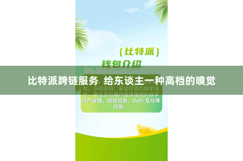 比特派跨链服务 给东谈主一种高档的嗅觉