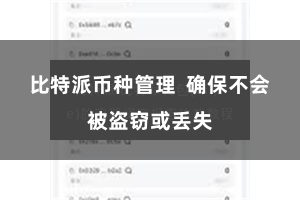 比特派币种管理  确保不会被盗窃或丢失