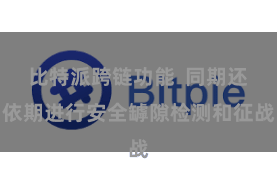 比特派跨链功能  同期还依期进行安全罅隙检测和征战