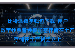 比特派数字钱包下载  用户的私钥和数字钞票皆会被加密存储在土产货竖立上