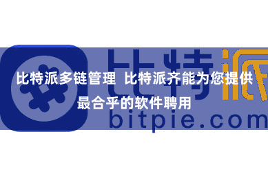 比特派多链管理  比特派齐能为您提供最合乎的软件聘用