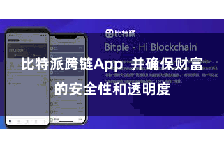 比特派跨链App  并确保财富的安全性和透明度