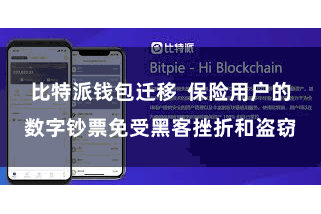比特派钱包迁移  保险用户的数字钞票免受黑客挫折和盗窃