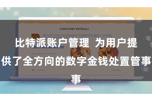 比特派账户管理  为用户提供了全方向的数字金钱处置管事