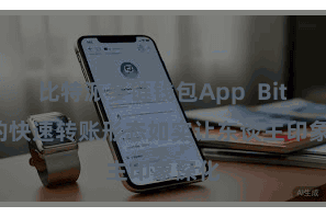 比特派多链钱包App  Bitpie的快速转账形态如实让东谈主印象深化