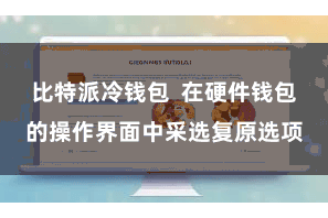 比特派冷钱包  在硬件钱包的操作界面中采选复原选项