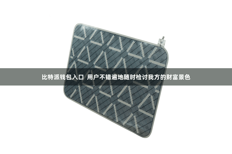 比特派钱包入口  用户不错遍地随时检讨我方的财富景色